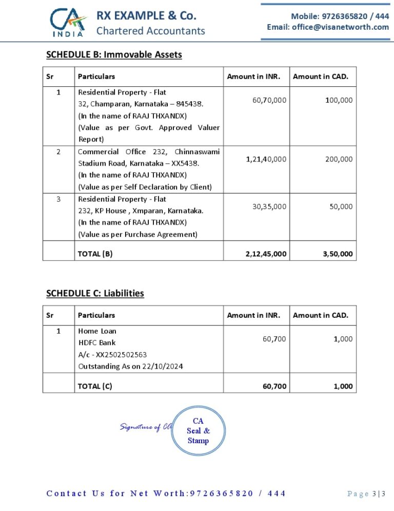 CA Net Worth Report Format Page 3