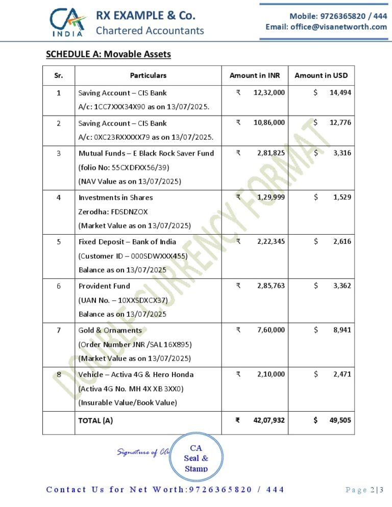 CA Net Worth Report Format for Visa - INR v Dollar