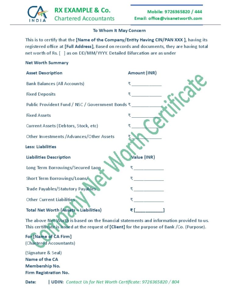 CA Net Worth Report for Corporate Entity