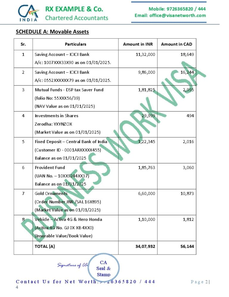 CA Report for Business Work Visa