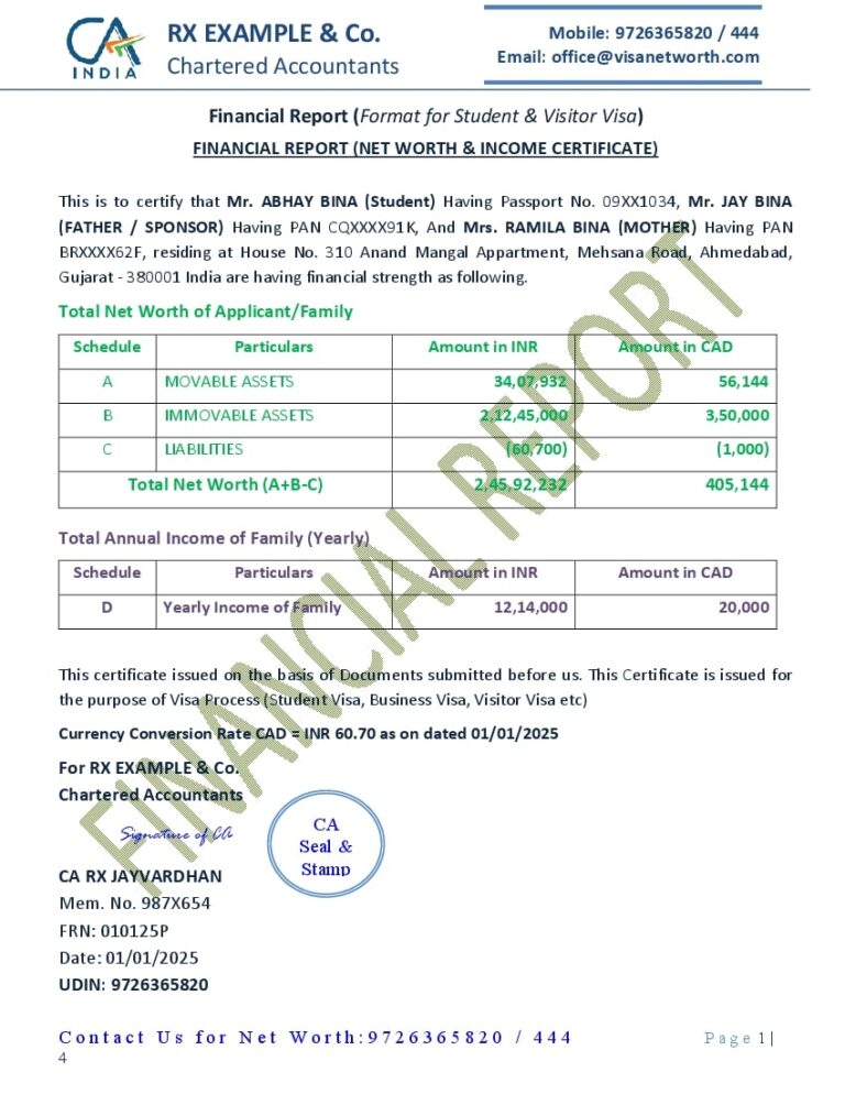 Financial Report of Proof of Funds for Foreign Visa