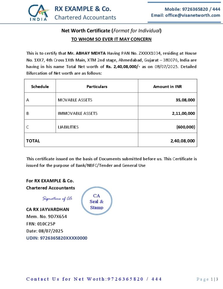 Standard Format for Individual CA Net Worth Report
