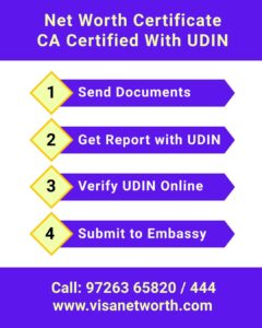 UDIN Generated CA Net Worth Report